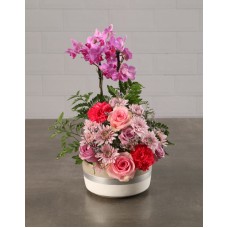 Opulent Orchids In A Bed Of Flowers
