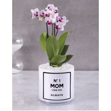 Best Mom Brilliant Orchids