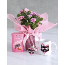 Perfectly Pink Rose Bush Hamper