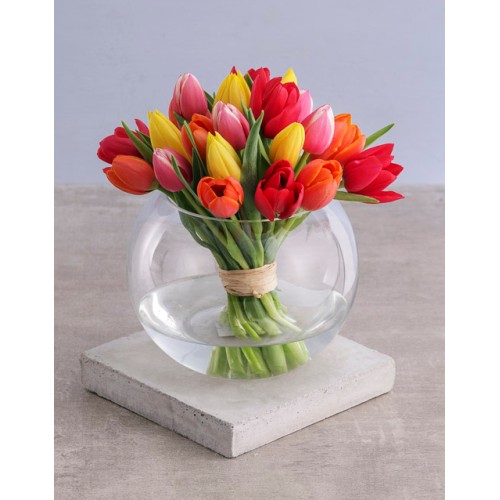 Mothers day Mixed Tulips in Bubble Vase