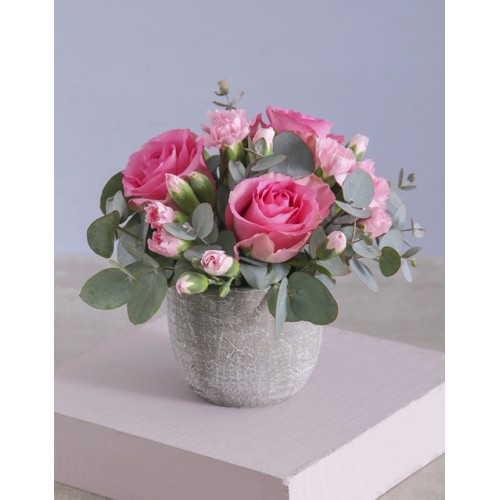 Pink Floral Fusion In A Cement Pot
