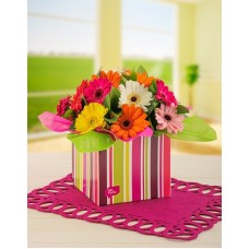 Mixed Mini Gerberas In A Stripe Box