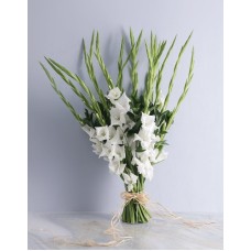 Gladiolus of Love Bouquet (Small)