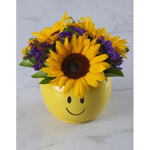 Sunflower Smiley Pot (Standard)
