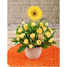 Gerbera Among Mini Carnations In Petite Vase