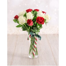 Red and White Candy Cane Roses in a Vase (12Roses)