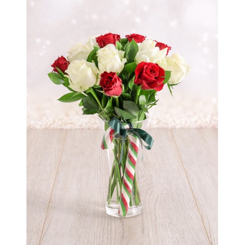 Red and White Candy Cane Roses in a Vase (12Roses)