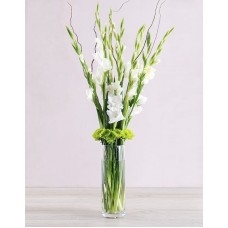 White Gladiolus Vase