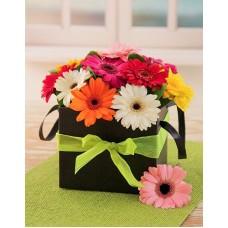 Mini Gerberas In A Box