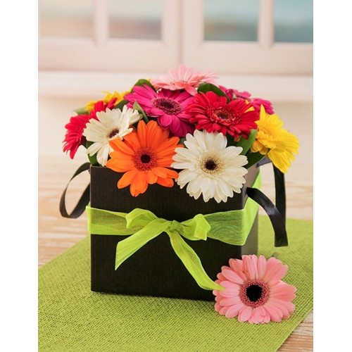 Mini Gerberas In A Box