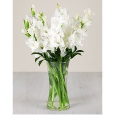 White Gladiolus in a Glass Vase (Large)