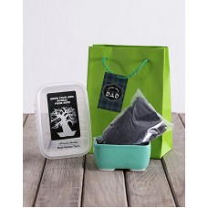 Checkered Fathers Day Baobab Kit (Grandad)