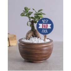Best Dad Bonsai