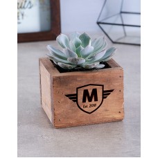 Personalised Succulent In Mini Crate