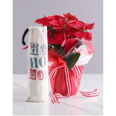 Festive Poinsettia with Red Wine (Red)