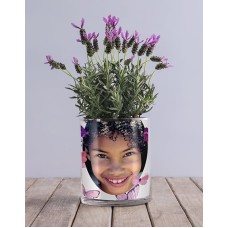 Lavender Butterfly Photo Vase