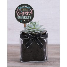 Personalised Congrats On Engagement Succulent
