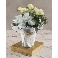 White Rose Bush And Chocolates