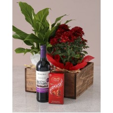 Spathiphyllum and Chrysanthemum Gift Hamper