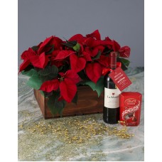Special Delivery Poinsettia Hamper