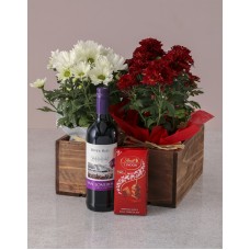 Red and White Chrysanthemum Gift Hamper