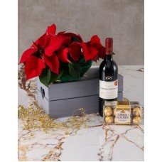 Love and Chocolate Poinsettia Hamper