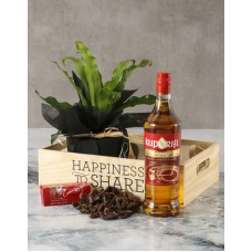 Happiness And Indulgence Asplenium Hamper