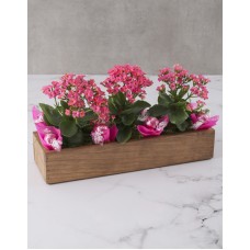 Kalanchoe Flowers In A Wooden Crate (Yellow)