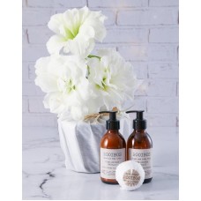 White Amaryllis Pamper Hamper