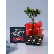 Super Hero Dad Bonsai Plant