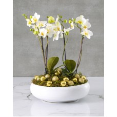 White Orchids With Gold Accents