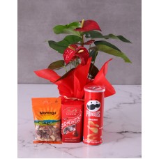 Lily Blooms With Chocolates