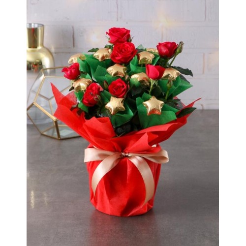 Golden Bloom Rose Surprise