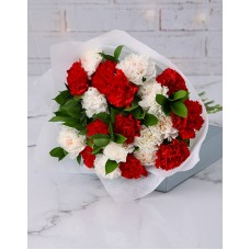 Striking Red and White Carnations (Standard)