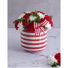 Red and White Carnations in a Stripy Pot