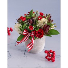 Cream and Red Rose Potted Delight