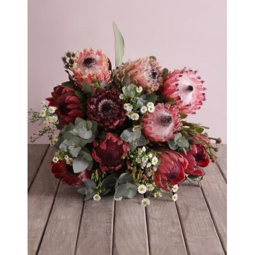 Pink Protea Floral Variety (Standard)