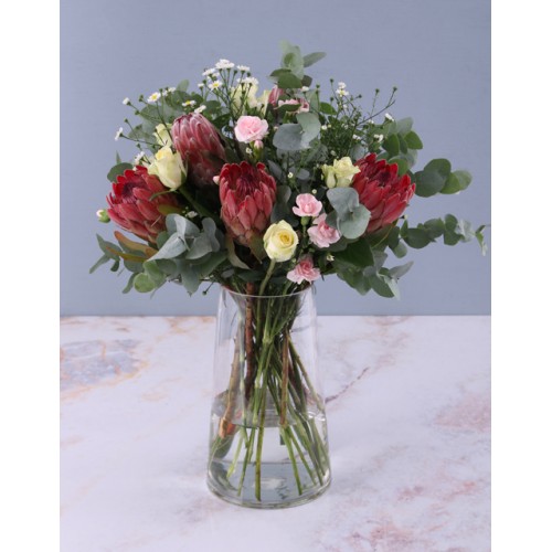 Always Elegant Proteas (Teddy)