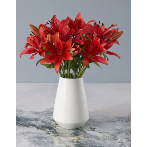 Radiant Red Lily Arrangement