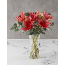 Awesome Asiflorum Lily Arrangement (Small)