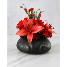Daring Red Blooms In Black Pot (Standard)