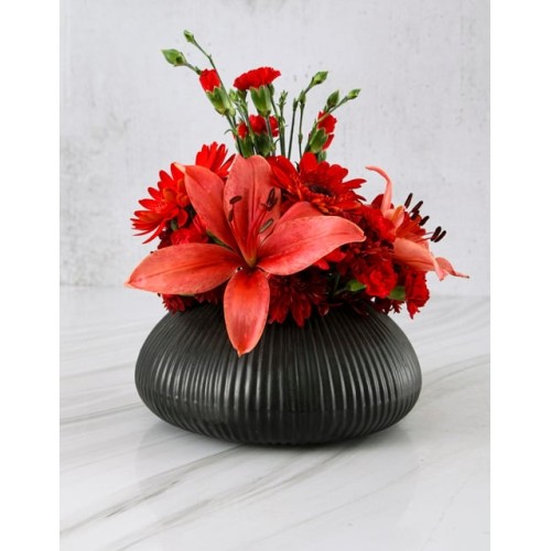 Daring Red Blooms In Black Pot (Standard)