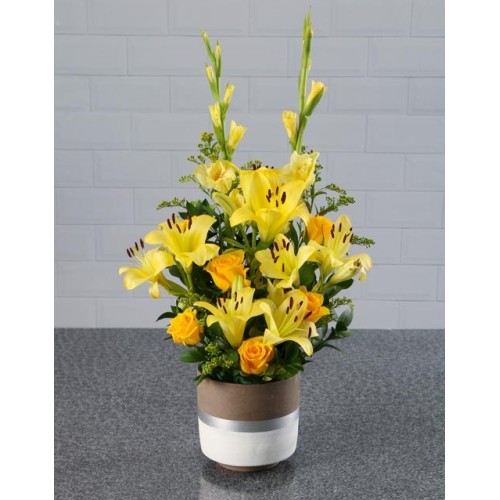 Bright And Lovely Gladiolus Arrangement (Standard)