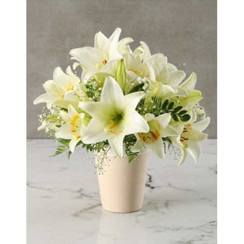 Brilliant White Lily Arrangement (STANDARD)