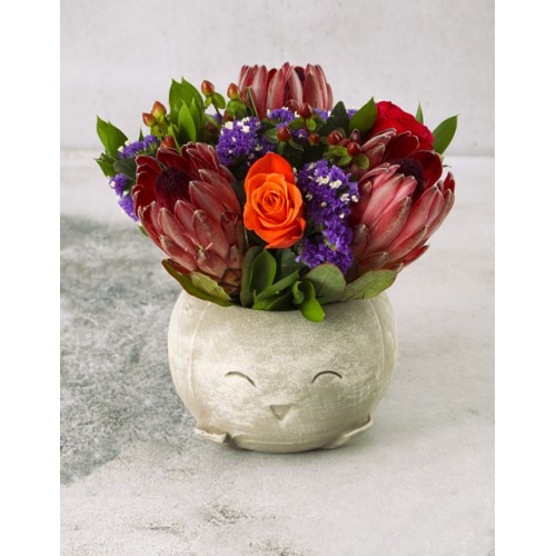 Pot Full Of Happy Flowers (Standard)