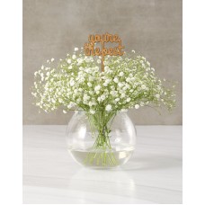 Dainty With Million Stars In Bowl