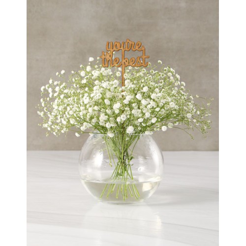 Dainty With Million Stars In Bowl