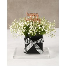 White Million Stars In A Black Vase (COMBO)