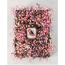 Million Stars Gift Nest