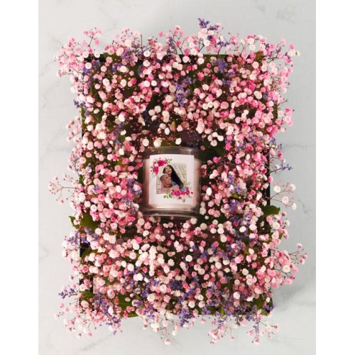 Million Stars Gift Nest